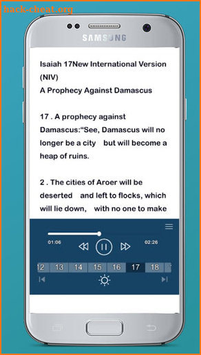 Audio Bible NIV Free screenshot
