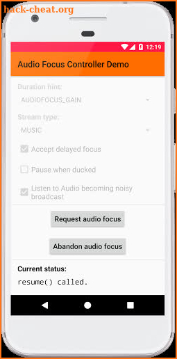Audio Focus Controller Demo screenshot