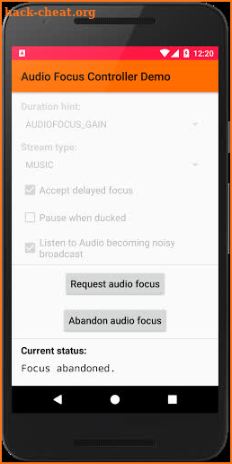 Audio Focus Controller Demo screenshot