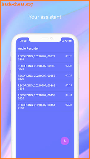 Audio Recorder screenshot