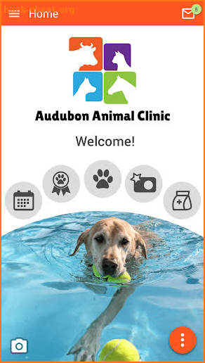 Audubon Animal Clinic screenshot