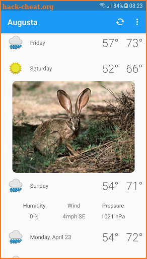 Augusta, GA - weather and more screenshot