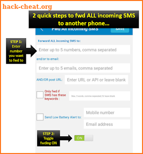 Auto Forward SMS to another number & email screenshot