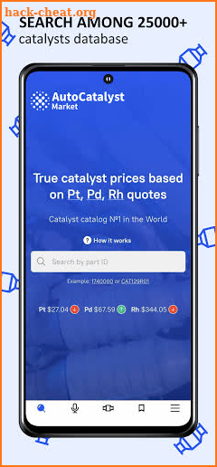 AutoCatalyst Market - Catalytic Converters Catalog screenshot