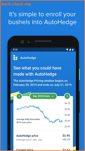 AutoHedge screenshot