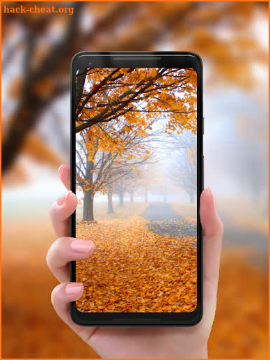Autumn 4k HD Wallpaper screenshot