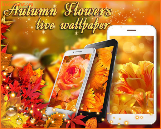 Autumn Flowers live wallpaper screenshot