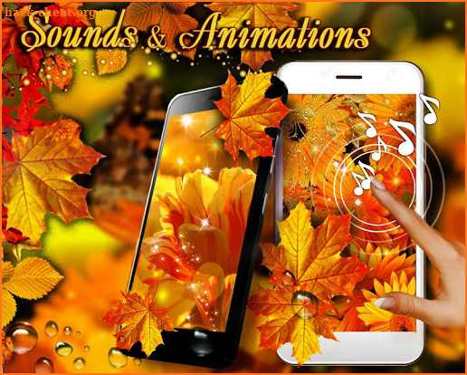 Autumn Flowers live wallpaper screenshot
