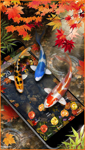 Autumn Koi Fish Theme screenshot
