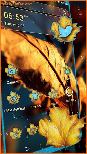Autumn Leaf Water Drop Launcher Theme screenshot