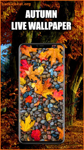 Autumn Live Wallpaper | Autumn Wallpapers screenshot
