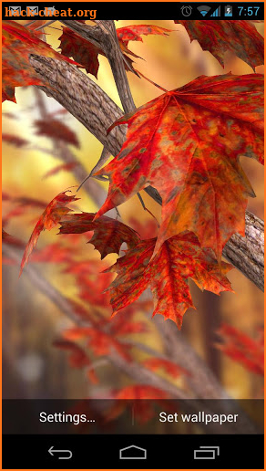 Autumn Tree Live Wallpaper screenshot