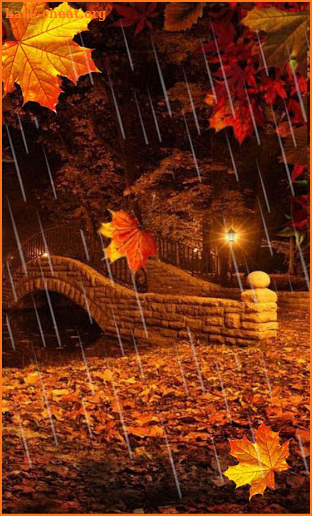 Autumn Twinkle Lights live wallpaper screenshot