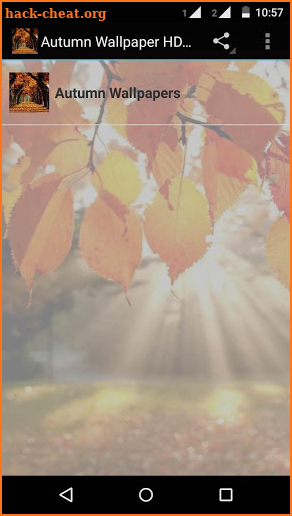 Autumn Wallpaper HD screenshot