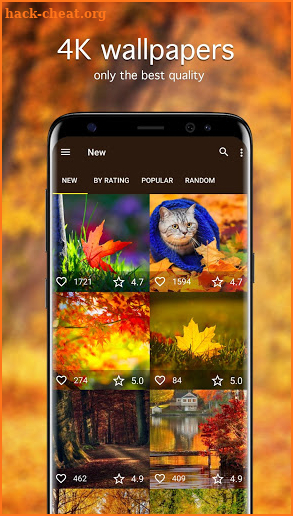 Autumn Wallpapers 4K screenshot