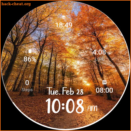 Autumn Watch Face L89 screenshot