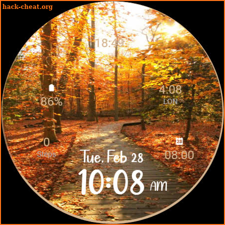 Autumn Watch Face L89 screenshot