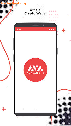 Avalanche - AVAX wallet screenshot