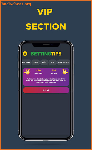 Avalon Betting Tips screenshot