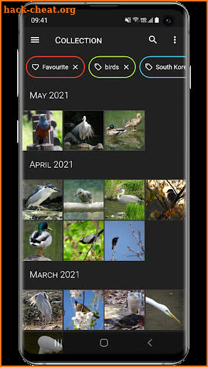 Aves Gallery screenshot