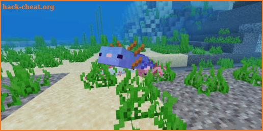Axolotls Mod [HD] - For Minecraft PE screenshot
