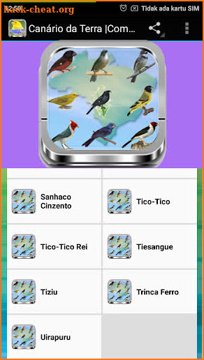 Azulão Canto Paraná |Completos screenshot