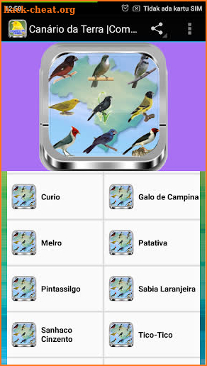 Azulão Canto Paraná |Completos screenshot