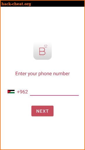 B12 App screenshot