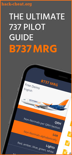 B737 MRG screenshot