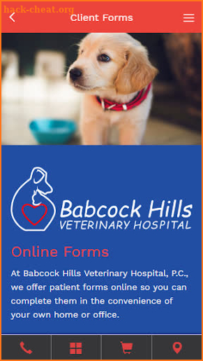 Babcock Hills Veterinary Hospital screenshot
