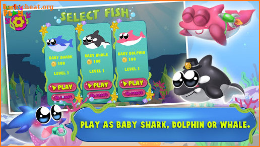 Baby Fish Hunting Game: Shark Whale and Dolphin screenshot