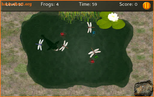 Baby Frogs screenshot