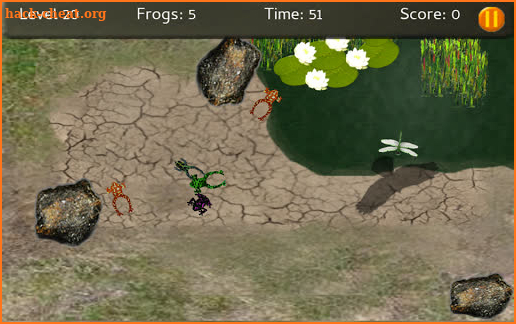 Baby Frogs screenshot