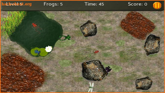 Baby Frogs - Frog Wrangling screenshot