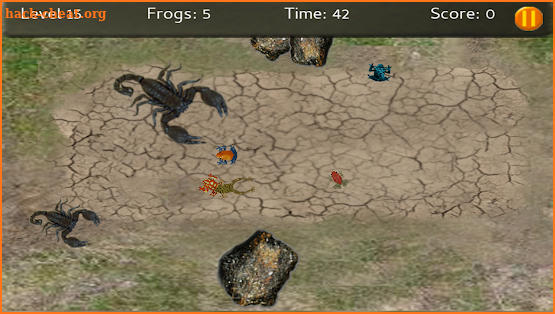Baby Frogs - Frog Wrangling screenshot