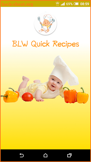 Baby Led Weaning - Quick Recipes screenshot