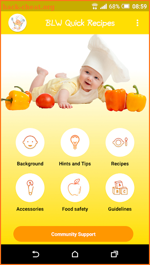Baby Led Weaning - Quick Recipes screenshot