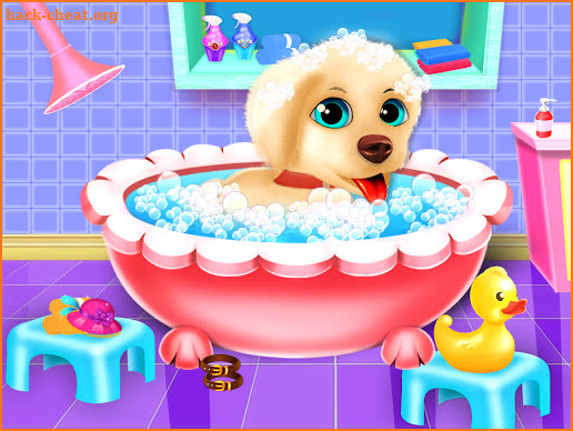 Baby Pet Labrador Care Puppy Nanny Daycare screenshot