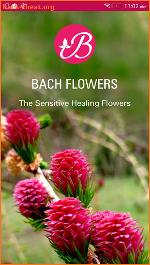 Bach Flower Remedies screenshot