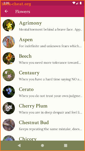 Bach Flowers: Choosing your remedies screenshot