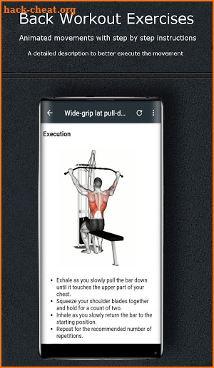 Back Workout Exercises screenshot