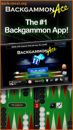 Backgammon Ace - Board Games screenshot