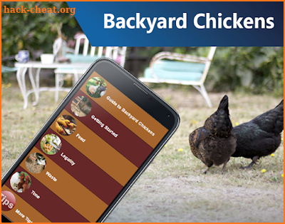 Backyard Chickens screenshot