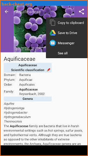 Bacteria: Types, Infections screenshot