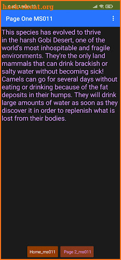 Bactrian Camel screenshot