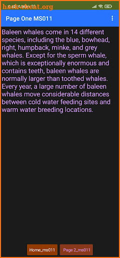 Baleen Whale screenshot