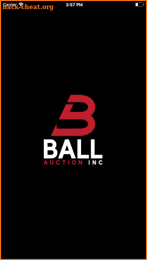 Ball Auction screenshot