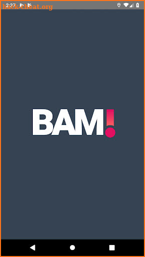 BAM! Mobile Sales Tool screenshot