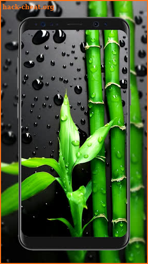 Bamboo Wallpapers screenshot