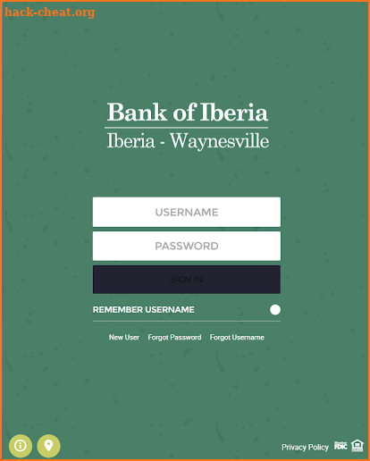Bank of Iberia MO screenshot